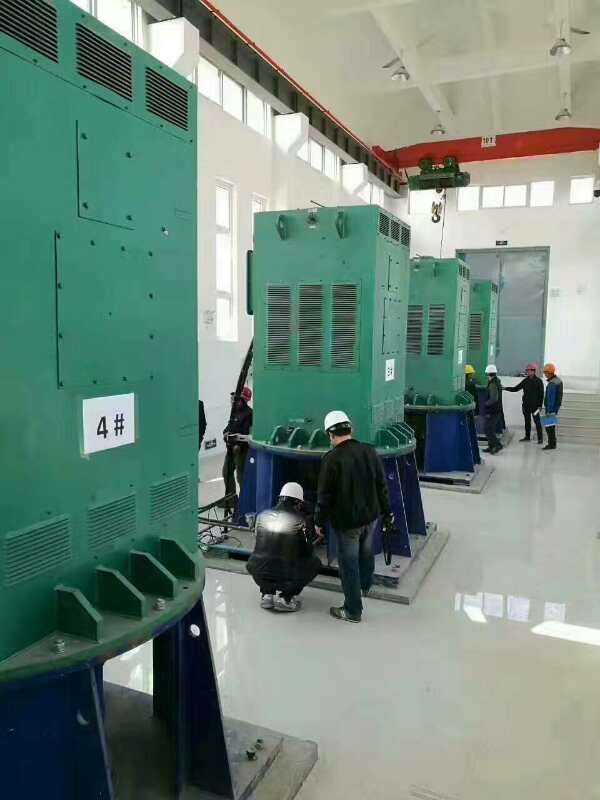 广丰某污水处理厂使用我厂的立式高压电机安装现场